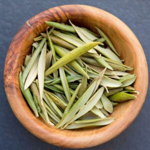 Olive Leaf Tea