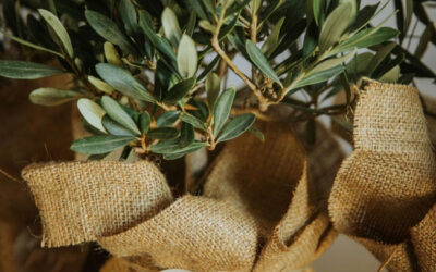 Olive you