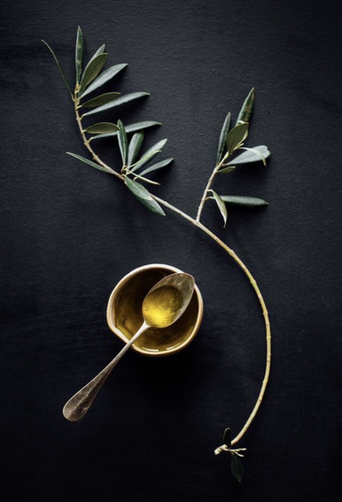An image of a spoonful of Rustic Puglia extra virgin olive oil surrounded by a decorative branch of olive leaves